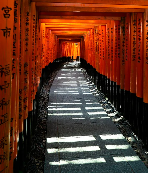 Tunnel of red torii gates at Fushimi Inari in Kyoto
